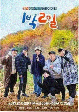 一起去露营吧 海报